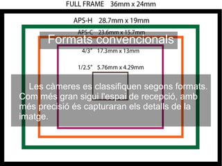 Formats convencionals
Les càmeres es classifiquen segons formats.
Com més gran sigui l'espai de recepció, amb
més precisió és capturaran els detalls de la
imatge.
 