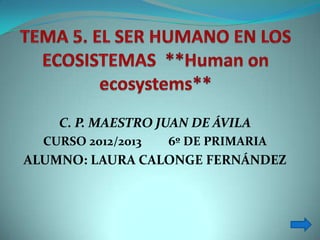 C. P. MAESTRO JUAN DE ÁVILA
  CURSO 2012/2013   6º DE PRIMARIA
ALUMNO: LAURA CALONGE FERNÁNDEZ
 