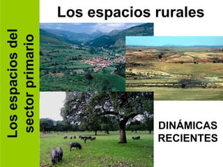 Los espacios del   Los espacios rurales
 sector primario




                                DINÁMICAS
                                RECIENTES
 