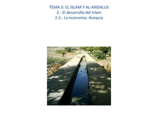 TEMA 5: EL ISLAM Y AL-ANDALUS
2.- El desarrollo del Islam
2.2.- La economía. Acequia
 