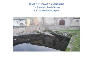 TEMA 5: EL ISLAM Y AL-ANDALUS
2.- El desarrollo del Islam
2.2.- La economía. Aljibe
 