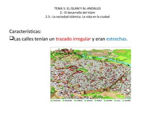 TEMA 5: EL ISLAM Y AL-ANDALUS
2.- El desarrollo del Islam
2.3.- La sociedad islámica. La vida en la ciudad
Características:
Las calles tenían un trazado irregular y eran estrechas.
 