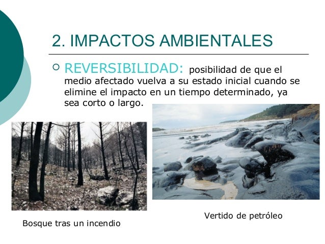Ejemplo De Impacto Ambiental Reversible O Irreversible