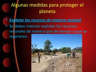 Algunas medidas para proteger el
planeta
• Explotar los recursos de manera racional
• Se deben intentar explotar los recursos
naturales de manera que dé tiempo a que se
regeneren.
 