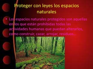 Proteger con leyes los espacios
naturales
• Los espacios naturales protegidos son aquellas
en los que están prohibidas todas las
actividades humanas que puedan alterarlos,
como construir, cazar, arrojar, residuos…
 