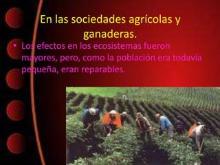En las sociedades agrícolas y
ganaderas.
• Los efectos en los ecosistemas fueron
mayores, pero, como la población era todavía
pequeña, eran reparables.
 