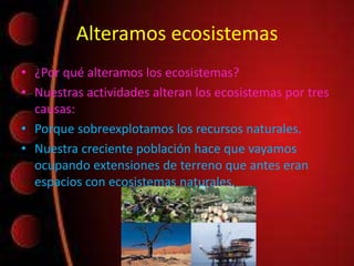 Alteramos ecosistemas
• ¿Por qué alteramos los ecosistemas?
• Nuestras actividades alteran los ecosistemas por tres
causas:
• Porque sobreexplotamos los recursos naturales.
• Nuestra creciente población hace que vayamos
ocupando extensiones de terreno que antes eran
espacios con ecosistemas naturales.
 