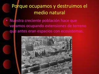 Porque ocupamos y destruimos el
medio natural
• Nuestra creciente población hace que
vayamos ocupando extensiones de terreno
que antes eran espacios con ecosistemas.
 