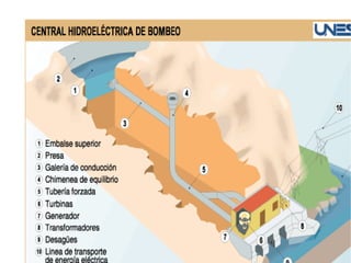 SECUNDARIAS. Son resultado de la transformación de las primarias 