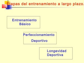 Etapas del entrenamiento a largo plazo.

Entrenamiento
Básico
Perfeccionamiento
Deportivo
Longevidad
Deportiva

 