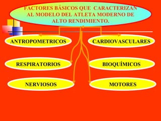 FACTORES BÁSICOS QUE CARACTERIZAN
AL MODELO DEL ATLETA MODERNO DE
ALTO RENDIMIENTO.

ANTROPOMETRICOS

CARDIOVASCULARES

RESPIRATORIOS

BIOQUÍMICOS

NERVIOSOS

MOTORES

 