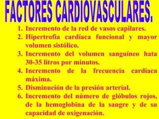 1. Incremento de la red de vasos capilares.
2. Hipertrofia cardíaca funcional y mayor
volumen sistólico.
3. Incremento del volumen sanguíneo hata
30-35 litros por minutos.
4. Incremento de la frecuencia cardíaca
máxima.
5. Disminución de la presión arterial.
6. Incremento del número de glóbulos rojos,
de la hemoglobina de la sangre y de su
capacidad de oxigenación.

 