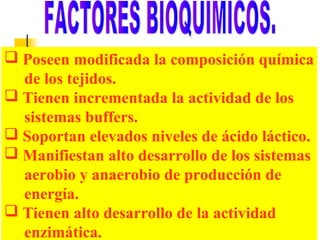  Poseen modificada la composición química
de los tejidos.
 Tienen incrementada la actividad de los
sistemas buffers.
 Soportan elevados niveles de ácido láctico.
 Manifiestan alto desarrollo de los sistemas
aerobio y anaerobio de producción de
energía.
 Tienen alto desarrollo de la actividad
enzimática.

 
