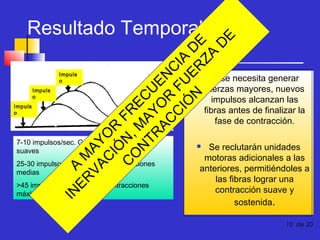 ER A M
VA AY
C OR
IÓ
C N, FR
O M E
N A C
TR Y U
A C OR E N
C F CIA
IÓ U
N ER D E
ZA
D
E

Resultado Temporal
Impuls
o
Impuls
o
Impuls
o

7-10 impulsos/sec. Generan contracciones
suaves

25-30 impulsos/sec. Generan contracciones
medias

IN

>45 impulsos/sec. Generan contracciones
máximas



Si se necesita generar
fuerzas mayores, nuevos
impulsos alcanzan las
fibras antes de finalizar la
fase de contracción.

Se reclutarán unidades
motoras adicionales a las
anteriores, permitiéndoles a
las fibras lograr una
contracción suave y
sostenida.



10 de 20

 