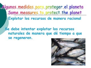    Explotar los recursos de manera racional

Se debe intentar explotar los recursos
 naturales de manera que dé tiempo a que
 se regeneren.
 