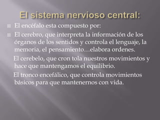El sistema nervioso central:El encéfalo esta compuesto por: El cerebro, que interpreta la información de los órganos de los sentidos y controla el lenguaje, la memoria, el pensamiento…elabora ordenes.    El cerebelo, que cron tola nuestros movimientos y hace que mantengamos el equilibrio.   El tronco encefálico, que controla movimientos básicos para que mantenernos con vida.