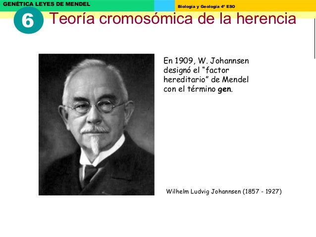Tema 5 herencia biológica