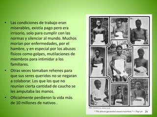 • Las condiciones de trabajo eran
miserables, existía pago pero era
irrisorio, solo para cumplir con las
normas y silenciar al mundo. Muchos
morían por enfermedades, por el
hambre, y en especial por los abusos
físicos como golpes, mutilaciones de
miembros para intimidar a los
familiares.
• Otras veces tomaban rehenes para
que sus seres queridos no se negaran
a colaborar. Los que los que no
reunían cierta cantidad de caucho se
les amputaba las manos.
• Oficialmente perdieron la vida más
de 10 millones de nativos .
24
 