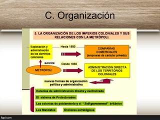 C. Organización
 