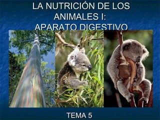 LA NUTRICIÓN DE LOSLA NUTRICIÓN DE LOS
ANIMALES I:ANIMALES I:
APARATO DIGESTIVOAPARATO DIGESTIVO
TEMA 5TEMA 5
 