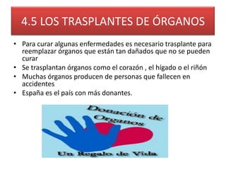 4.5 LOS TRASPLANTES DE ÓRGANOS
• Para curar algunas enfermedades es necesario trasplante para
  reemplazar órganos que están tan dañados que no se pueden
  curar
• Se trasplantan órganos como el corazón , el hígado o el riñón
• Muchas órganos producen de personas que fallecen en
  accidentes
• España es el país con más donantes.
 