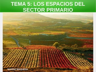 TEMA 5: LOS ESPACIOS DEL
SECTOR PRIMARIO
MARINO MAQUEDA
 