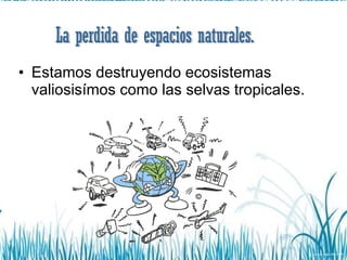 Estamos destruyendo ecosistemas valiosisímos como las selvas tropicales. La perdida de espacios naturales. 