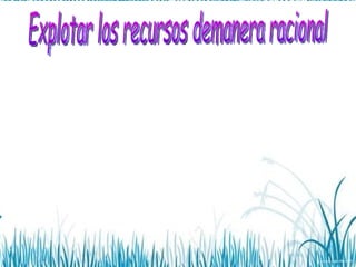 Explotar los recursos demanera racional 