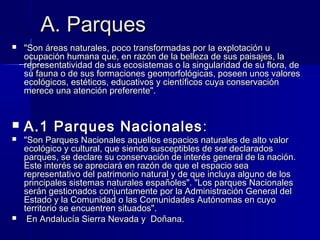 A. ParquesA. Parques
 "Son áreas naturales, poco transformadas por la explotación u"Son áreas naturales, poco transformadas por la explotación u
ocupación humana que, en razón de la belleza de sus paisajes, laocupación humana que, en razón de la belleza de sus paisajes, la
representatividad de sus ecosistemas o la singularidad de su flora, derepresentatividad de sus ecosistemas o la singularidad de su flora, de
su fauna o de sus formaciones geomorfológicas, poseen unos valoressu fauna o de sus formaciones geomorfológicas, poseen unos valores
ecológicos, estéticos, educativos y científicos cuya conservaciónecológicos, estéticos, educativos y científicos cuya conservación
merece una atención preferente".merece una atención preferente".
 A.1 Parques NacionalesA.1 Parques Nacionales ::
 "Son Parques Nacionales aquellos espacios naturales de alto valor"Son Parques Nacionales aquellos espacios naturales de alto valor
ecológico y cultural, que siendo susceptibles de ser declaradosecológico y cultural, que siendo susceptibles de ser declarados
parques, se declare su conservación de interés general de la nación.parques, se declare su conservación de interés general de la nación.
Este interés se apreciará en razón de que el espacio seaEste interés se apreciará en razón de que el espacio sea
representativo del patrimonio natural y de que incluya alguno de losrepresentativo del patrimonio natural y de que incluya alguno de los
principales sistemas naturales españoles". "Los parques Nacionalesprincipales sistemas naturales españoles". "Los parques Nacionales
serán gestionados conjuntamente por la Administración General delserán gestionados conjuntamente por la Administración General del
Estado y la Comunidad o las Comunidades Autónomas en cuyoEstado y la Comunidad o las Comunidades Autónomas en cuyo
territorio se encuentren situados".territorio se encuentren situados".
 En Andalucía Sierra Nevada y Doñana.En Andalucía Sierra Nevada y Doñana.
 