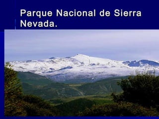 Parque Nacional de SierraParque Nacional de Sierra
Nevada.Nevada.
 