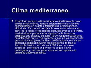 Clima mediterraneo.Clima mediterraneo.
 El territorio andaluz está considerado climáticamente comoEl territorio andaluz está considerado climáticamente como
de tipo mediterráneo, aunque existan diferencias zonalesde tipo mediterráneo, aunque existan diferencias zonales
considerables en cuanto a temperatura, precipitaciones,considerables en cuanto a temperatura, precipitaciones,
altitud, etc. En concreto Andalucía se encuentra formandoaltitud, etc. En concreto Andalucía se encuentra formando
parte de la región biogeográfica del Mediterráneo esclerófilo,parte de la región biogeográfica del Mediterráneo esclerófilo,
es decir donde predomina la vegetación de hoja duraes decir donde predomina la vegetación de hoja dura
adaptada a la escasez de agua (típico bosque mediterráneoadaptada a la escasez de agua (típico bosque mediterráneo
caracterizado por su hoja coriácea) y aún en los espacios decaracterizado por su hoja coriácea) y aún en los espacios de
gran pluviosidad (como la Sierra de Grazalema, una de lasgran pluviosidad (como la Sierra de Grazalema, una de las
zonas que registra mayores precipitaciones de toda lazonas que registra mayores precipitaciones de toda la
Península Ibérica, con más de 2.000 litros por metroPenínsula Ibérica, con más de 2.000 litros por metro
cuadrado) se registra un período de sequía estivalcuadrado) se registra un período de sequía estival
prolongado, y, por otra parte, abundan las especies deprolongado, y, por otra parte, abundan las especies de
ambiente árido y semiárido.ambiente árido y semiárido.
 
