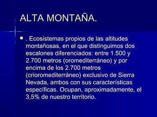 ALTA MONTAÑA.ALTA MONTAÑA.
 . Ecosistemas propios de las altitudes. Ecosistemas propios de las altitudes
montañosas, en el que distinguimos dosmontañosas, en el que distinguimos dos
escalones diferenciados: entre 1.500 yescalones diferenciados: entre 1.500 y
2.700 metros (oromediterráneo) y por2.700 metros (oromediterráneo) y por
encima de los 2.700 metrosencima de los 2.700 metros
(crioromediterráneo) exclusivo de Sierra(crioromediterráneo) exclusivo de Sierra
Nevada, ambos con sus característicasNevada, ambos con sus características
específicas. Ocupan, aproximadamente, elespecíficas. Ocupan, aproximadamente, el
3,5% de nuestro territorio.3,5% de nuestro territorio.
 