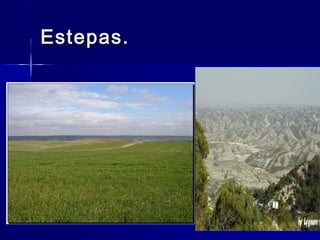 Estepas.Estepas.
 