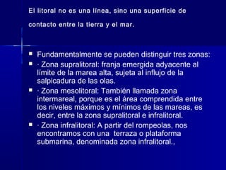 El litoral no es una línea, sino una superficie de
contacto entre la tierra y el mar.
 Fundamentalmente se pueden distinguir tres zonas:
 · Zona supralitoral: franja emergida adyacente al
límite de la marea alta, sujeta al influjo de la
salpicadura de las olas.
 · Zona mesolitoral: También llamada zona
intermareal, porque es el área comprendida entre
los niveles máximos y mínimos de las mareas, es
decir, entre la zona supralitoral e infralitoral.
 · Zona infralitoral: A partir del rompeolas, nos
encontramos con una terraza o plataforma
submarina, denominada zona infralitoral.,
 