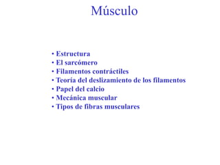 Músculo
• Estructura
• El sarcómero
• Filamentos contráctiles
• Teoría del deslizamiento de los filamentos
• Papel del calcio
• Mecánica muscular
• Tipos de fibras musculares
 
