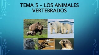 TEMA 5 – LOS ANIMALES
VERTEBRADOS
 