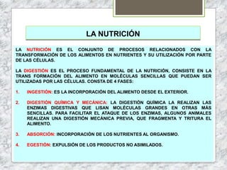 LA NUTRICIÓN
LA NUTRICIÓN ES EL CONJUNTO DE PROCESOS RELACIONADOS CON LA
TRANSFORMACIÓN DE LOS ALIMENTOS EN NUTRIENTES Y S...