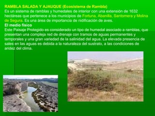 RAMBLA SALADA Y AJAUQUE (Ecosistema de Rambla)
Es un sistema de ramblas y humedales de interior con una extensión de 1632
hectáreas que pertenece a los municipios de Fortuna, Abanilla, Santomera y Molina
de Segura. Es una área de importancia de nidificación de aves.
El medio físico
Este Paisaje Protegido es considerado un tipo de humedal asociado a ramblas, que
presentan una compleja red de drenaje con tramos de aguas permanentes y
temporales y una gran variedad de la salinidad del agua. La elevada presencia de
sales en las aguas es debida a la naturaleza del sustrato, a las condiciones de
aridez del clima.
 