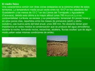 El medio físico
Una característica común con otras zonas esteparias es la extrema aridez de estos
territorios. La temperatura media anual oscila entre los 18 Cº en los saladares del
Guadalentín y los menos de 13 C º en los Llanos del Tornajuelo y Aguzaderas
(Caravaca), debido esto último a la mayor altitud (unos 700 m.s.n.m.) y a su
continentalidad. La lluvia, es escasa, y su precipitación, torrencial. En pocas horas y
en unos pocos días, repartidos entre los meses de primavera (abril) y otoño
(octubre), cae buena parte del total anual, unos 300 mm. No obstante tienen gran
importancia en estos medios la condensación que se produce del agua atmosférica
durante la noche, formando rocíos, escarchas, etcétera, 'lluvias ocultas' que de algún
modo palian estas mismas condiciones de aridez.
 