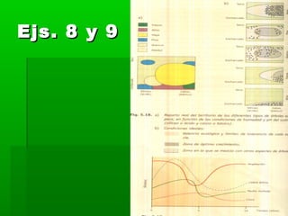 Ejs. 8 y 9Ejs. 8 y 9
 