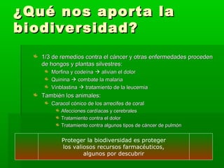 ¿Qué nos aporta la¿Qué nos aporta la
biodiversidad?biodiversidad?
1/3 de remedios contra el cáncer y otras enfermedades proceden1/3 de remedios contra el cáncer y otras enfermedades proceden
de hongos y plantas silvestres:de hongos y plantas silvestres:
Morfina y codeínaMorfina y codeína  alivian el doloralivian el dolor
QuininaQuinina  combate la malariacombate la malaria
VinblastinaVinblastina  tratamiento de la leucemiatratamiento de la leucemia
También los animales:También los animales:
Caracol cónico de los arrecifes de coralCaracol cónico de los arrecifes de coral
Afecciones cardíacas y cerebralesAfecciones cardíacas y cerebrales
Tratamiento contra el dolorTratamiento contra el dolor
Tratamiento contra algunos tipos de cáncer de pulmónTratamiento contra algunos tipos de cáncer de pulmón
Proteger la biodiversidad es proteger
los valiosos recursos farmacéuticos,
algunos por descubrir
 