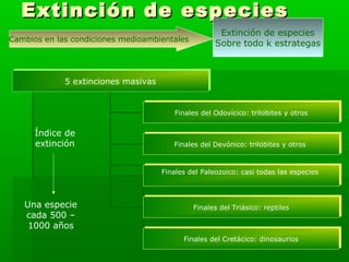 Extinción de especiesExtinción de especies
Cambios en las condiciones medioambientales
Extinción de especies
Sobre todo k estrategas
5 extinciones masivas5 extinciones masivas
Finales del Odovícico: trilobites y otrosFinales del Odovícico: trilobites y otros
Finales del Devónico: trilobites y otrosFinales del Devónico: trilobites y otros
Finales del Paleozoico: casi todas las especiesFinales del Paleozoico: casi todas las especies
Finales del Triásico: reptilesFinales del Triásico: reptiles
Finales del Cretácico: dinosauriosFinales del Cretácico: dinosaurios
Índice de
extinción
Una especie
cada 500 –
1000 años
 