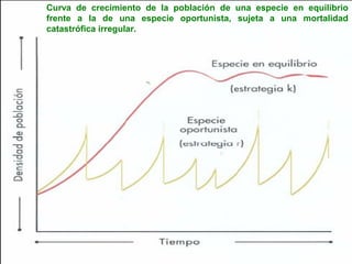Curva de crecimiento de la población de una especie en equilibrio
frente a la de una especie oportunista, sujeta a una mortalidad
catastrófica irregular.
 