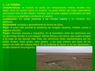 1.- LA TUNDRA
Características: se localiza en zonas con temperaturas medias anuales muy
bajas, tanto en verano como en invierno. La parte inferior del suelo (permafrost)
permanece todo el año helado, mientras que la parte superior (mollisuelo) se hiela
en invierno y se deshiela y encharca en verano.
Localización: En zonas próximas a los círculos polares y en cumbres muy
elevadas.
Pluviosidad: escasas y generalmente en forma de nieve.
Flora: el suelo sólo permite la existencia de musgos, líquenes, hierbas, juncos y
algunos arbustos.
Fauna: Abundan moscas y mosquitos. En el hemisferio norte los herbívoros son
los lemmings (similar a una cobaya), liebres árticas y los renos, que suelen emigrar
a la taiga en las épocas más frías; los carnívoros están representados por los
búhos nivales, lobos grises, osos pardos y los osos polares que bajan de los
bancos de hielo del océano Artico. En la Antártida la fauna no es tan abundante y
en ella destacan los pingüinos.
 