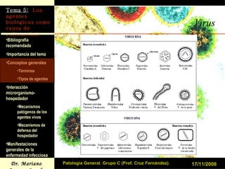 Virus 17/11/2008 Patología General. Grupo C (Prof. Cruz Fernández). 