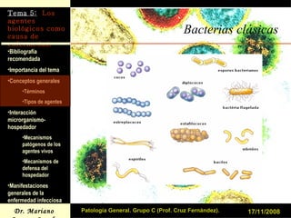 Bacterias clásicas 17/11/2008 Patología General. Grupo C (Prof. Cruz Fernández). 