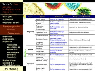 Protozoos 17/11/2008 Patología General. Grupo C (Prof. Cruz Fernández). Grupo Especie Enfermedad Principal vía de transmisión Flagelados Giardia lamblia Diarrea por flagelados Ingestión de cistos (contaminación fecal) Trichomonas vaginalis Infecciones del tracto genitourinario Contacto sexual (enfermedad venérea) Trypanosma gambiense,  T.rhodesiense  Enfermedad del sueño (africana)  Mosca tsé-tsé (Glossina palpalis) Trypanosma cruzi Enfermedad de Chagas (americana) Hemípteros triatómidos (chinches)  Leishmania donovani Kala-azar (americana) Mosca de los arenales (Phlebotomus)  Leishmania tropica Lesiones cutáneas, leismaniosis (americana)  Leishmania braziliensis Infecciones nasofaríngeas, leismaniosis (americana) Amebas Entamoeba histolytica Disentería amebiana Ingestión de cistos (contaminación fecal) Naegleria sp. Meningoencefalitis amebiana Penetración a través de las membranas mucosas Ciliados Balantidium coli Disentería balantidiana Ingestión de cistos (contaminación fecal) Esporozoos Plasmodium falciparum,  P.vivax, P.malariae, P.ovale Malaria Mosquito Anopheles (hembra) Toxoplasma gondii Infecciones diseminadas Ingestión de cistos (contaminación fecal) Infección del feto a través de la placenta ¿Inhalación? Isospora belli, I.huminis Infecciones intestinales Ingestión de cistos (contaminación fecal) 