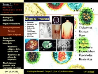 Hongos (2) Candida Aspergillus Criptococcus Rhizopus Mucor Absidia Fusarium Histoplasma Esporotrichum Coccidiodes Blastomices 17/11/2008 Patología General. Grupo C (Prof. Cruz Fernández). 