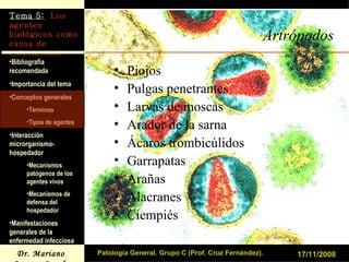 Artrópodos Piojos Pulgas penetrantes Larvas de moscas Arador de la sarna Ácaros trombicúlidos Garrapatas Arañas Alacranes Ciempiés 17/11/2008 Patología General. Grupo C (Prof. Cruz Fernández). 