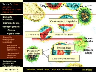 Etapas en el desarrollo de una infección 17/11/2008 Patología General. Grupo C (Prof. Cruz Fernández). Contacto con el hospedador Proliferación local Invasión local Barreras naturales Diseminación sistémica Disfunción y  lesión tisular Respuesta inmune Colonización 